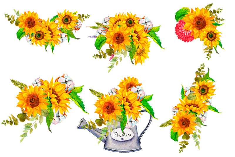 sunflower-and-cotton-watercolor-bouquet-clipart