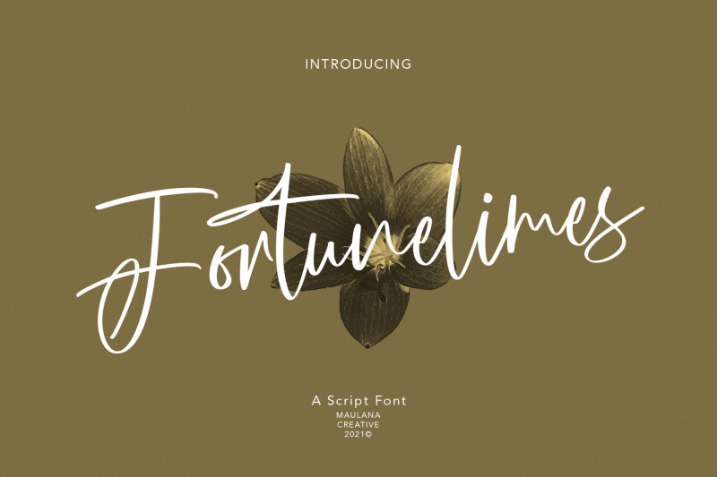 fortunelimes-script-font