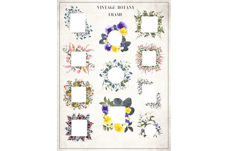 vintage-botany-watercolor-graphic