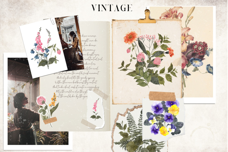 vintage-botany-watercolor-graphic