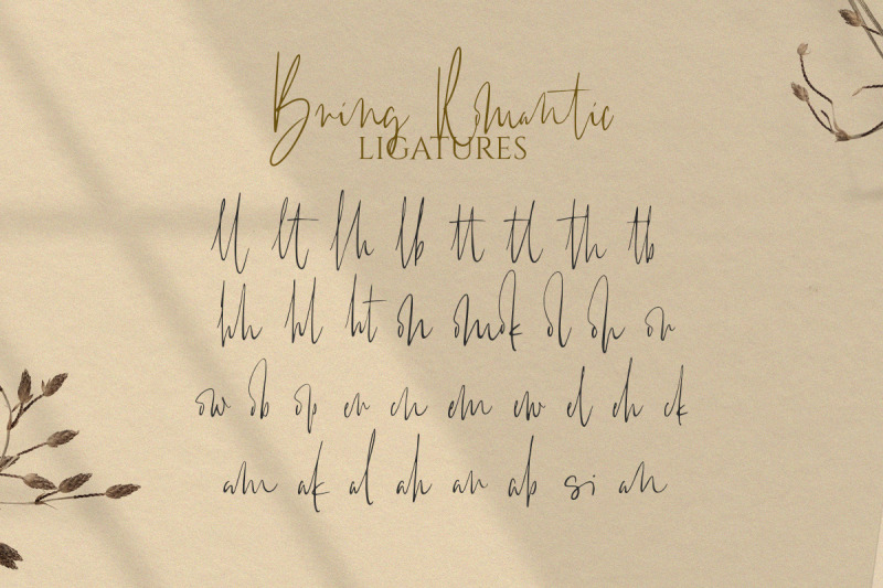 bring-romantic-handwritten-font