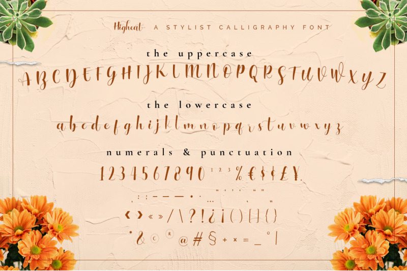 higheat-modern-calligraphy-font