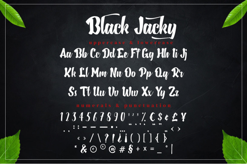 black-jacky-bold-script-font