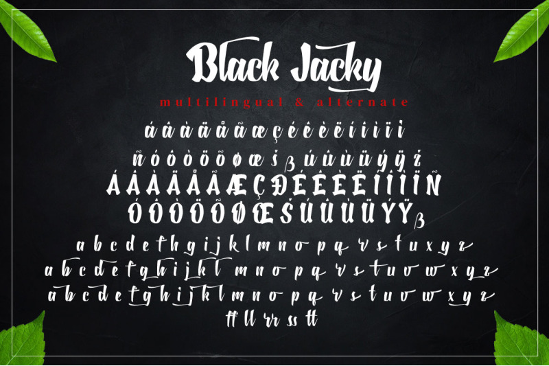 black-jacky-bold-script-font