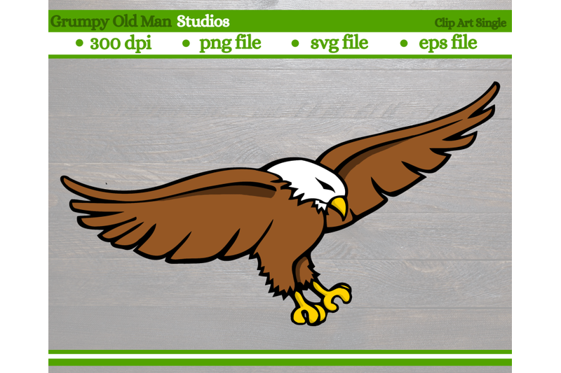 gliding-bald-eagle-wings-spread-out