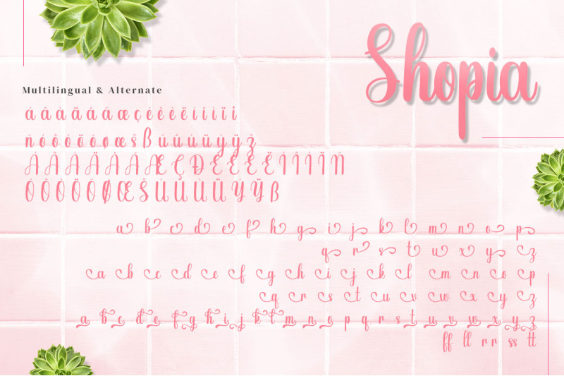 shopia-modern-calligraphy-font