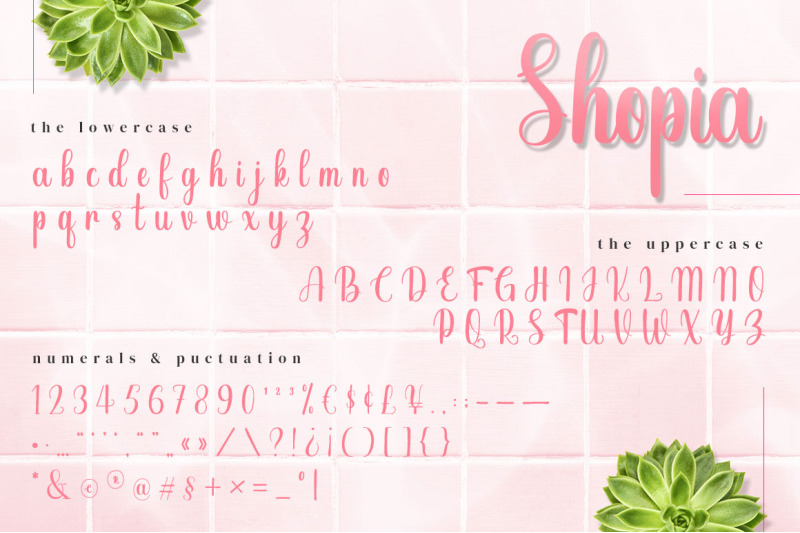 shopia-modern-calligraphy-font