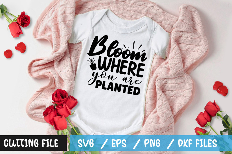 bloom-where-you-are-planted-svg