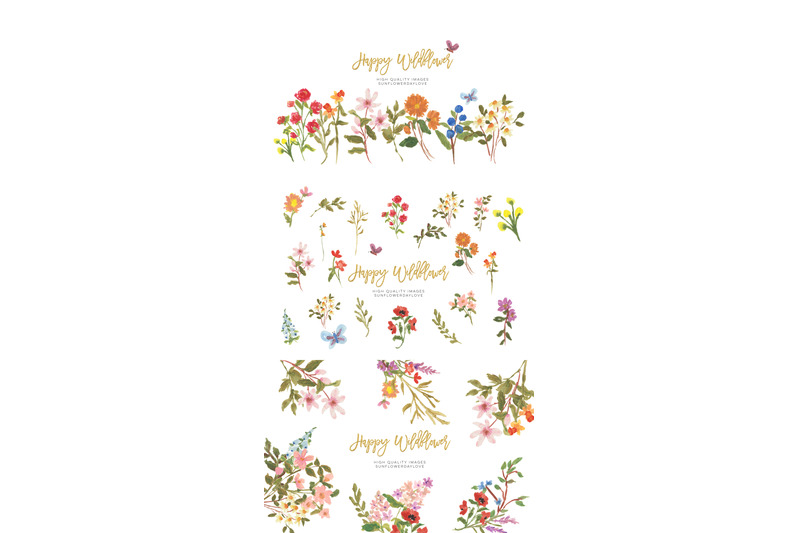 wild-field-florals-clipart-watercolor-wildflowers