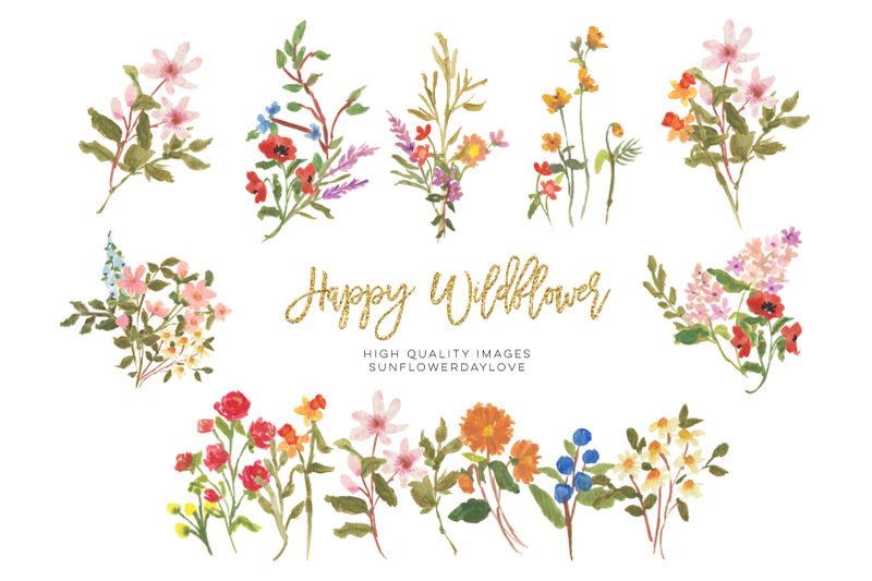 wild-field-florals-clipart-watercolor-wildflowers