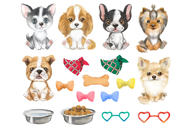 puppies-watercolor-clipart-cute-little-dogs-animal-clipart-pet-dog