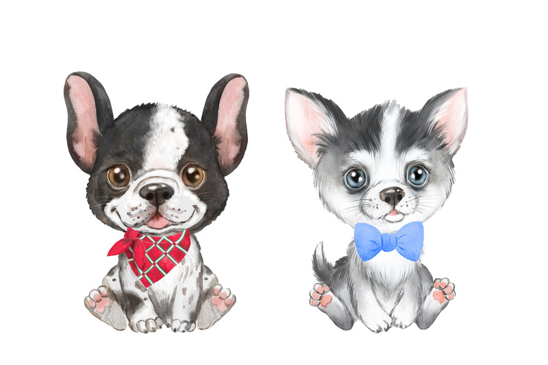 puppies-watercolor-clipart-cute-little-dogs-animal-clipart-pet-dog