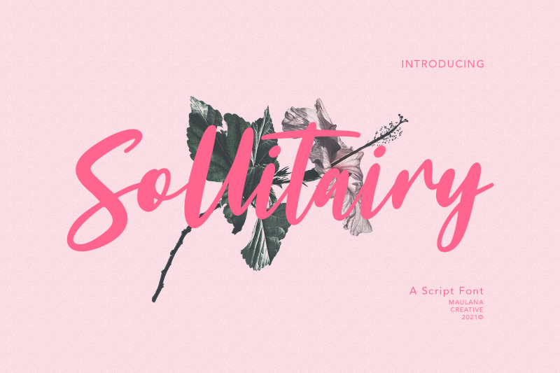 sollitairy-script-font
