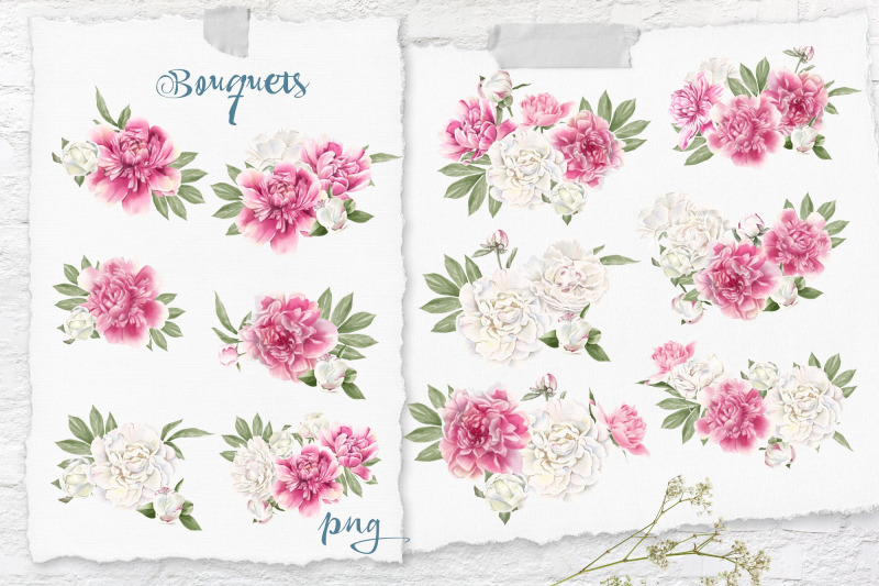 watercolor-flowers-peonies-clipart-big-set