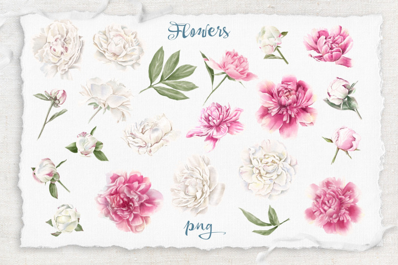 watercolor-flowers-peonies-clipart-big-set