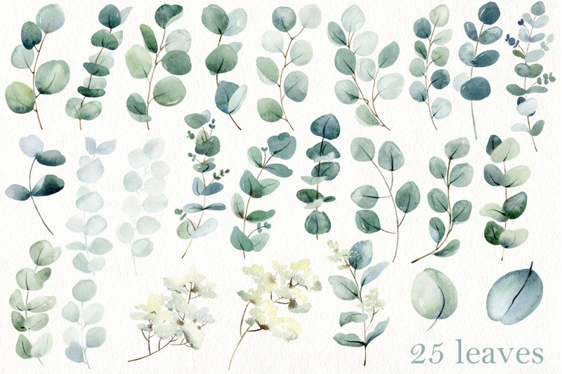 watercolor-eucalyptus-alphabet