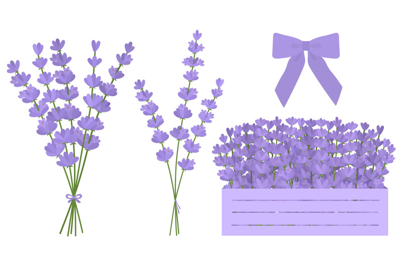 lavender-flowers-lavender-svg-provence-flowers