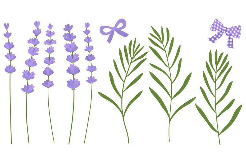 lavender-flowers-lavender-svg-provence-flowers