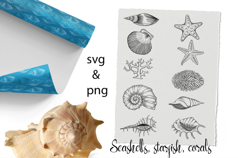underwater-magic-set-clipart-and-pattern