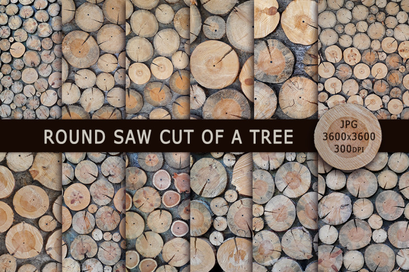 round-saw-cut-of-a-tree