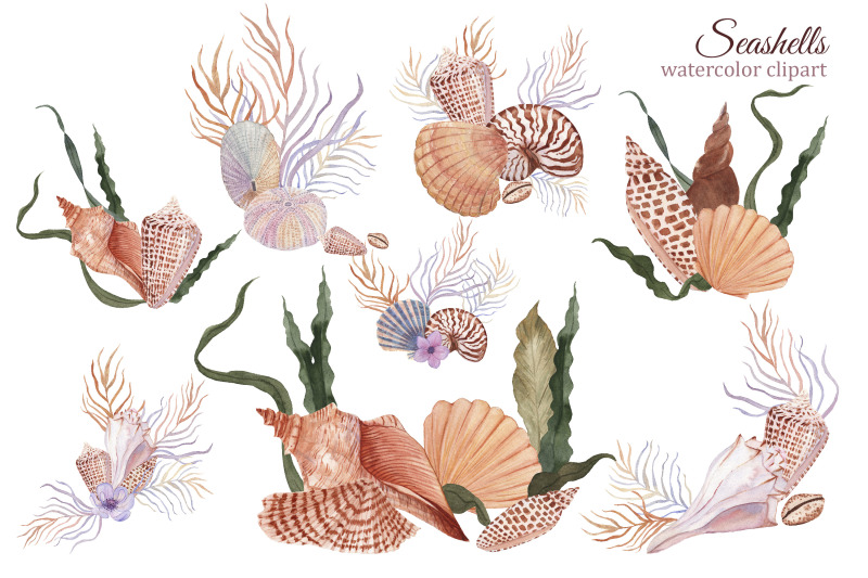 seashells-watercolor-ocean-compositions-for-wedding-invitations-logo