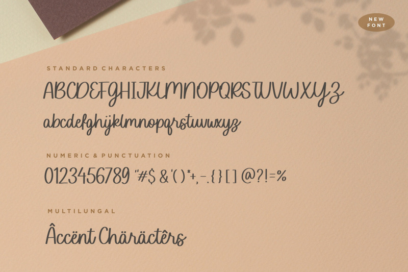 sofia-carolyn-modern-monoline-script-font