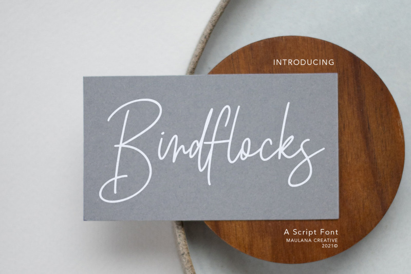 birdflocks-script-font