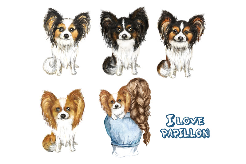 papillon-watercolor-clipart-dogs-papillon-clipart-favorite-pet