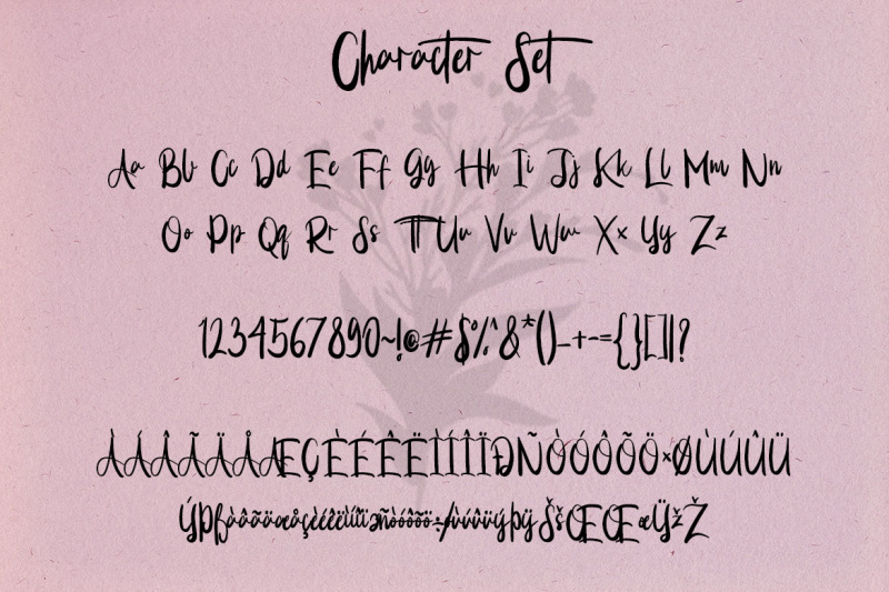 adhotase-script-font