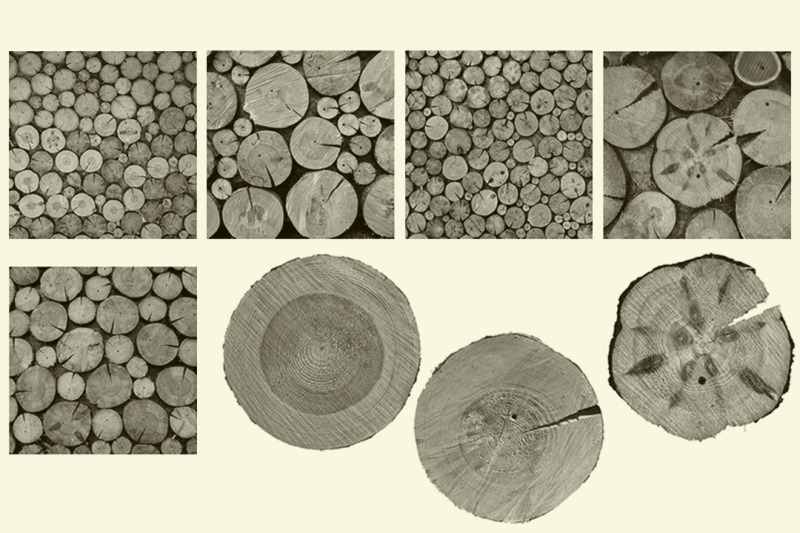 round-saw-cut-of-a-tree-brushes-for-photoshop-procreate-abr