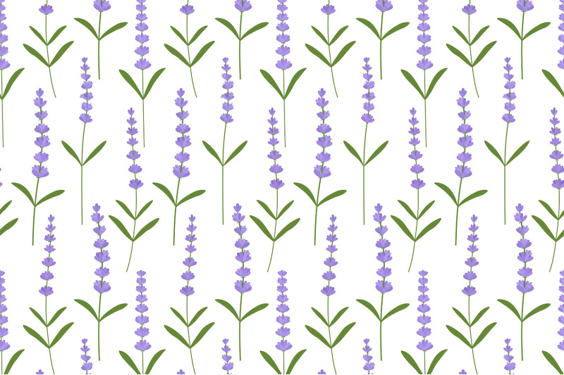 lavender-pattern-provence-flowers-pattern-lavender-svg