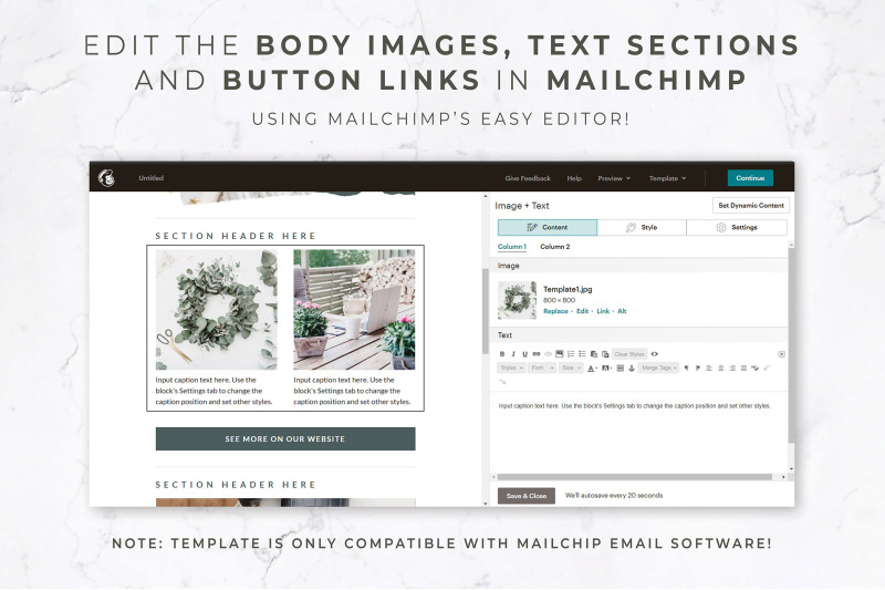 canva-amp-mailchimp-template-rustic