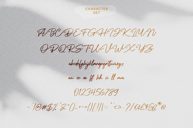 jolleylung-signature-font