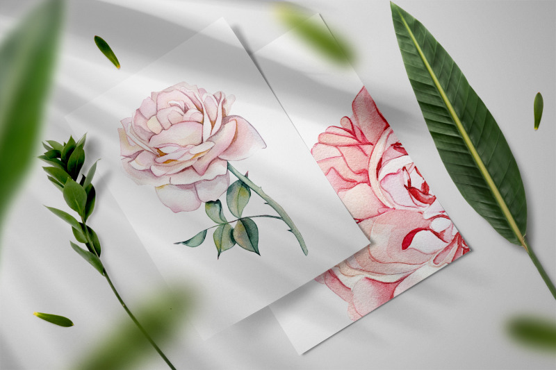 watercolor-clipart-delicate-pink-roses-and-dried-flowers