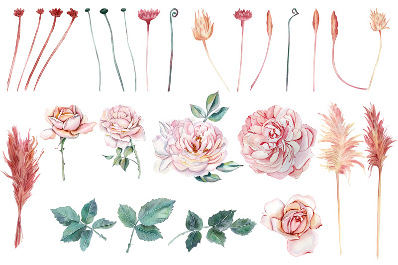 watercolor-clipart-delicate-pink-roses-and-dried-flowers