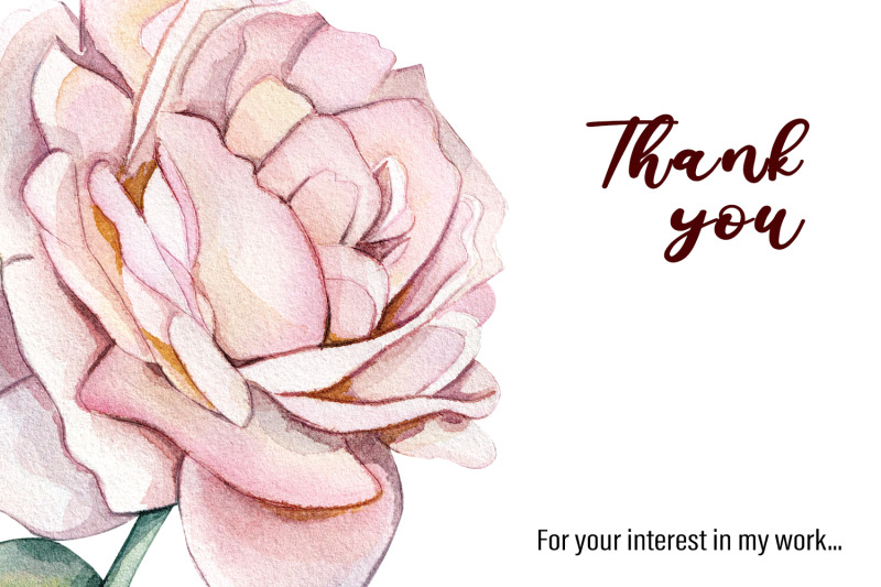 watercolor-clipart-delicate-pink-roses-and-dried-flowers