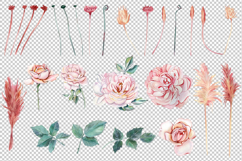 watercolor-clipart-delicate-pink-roses-and-dried-flowers