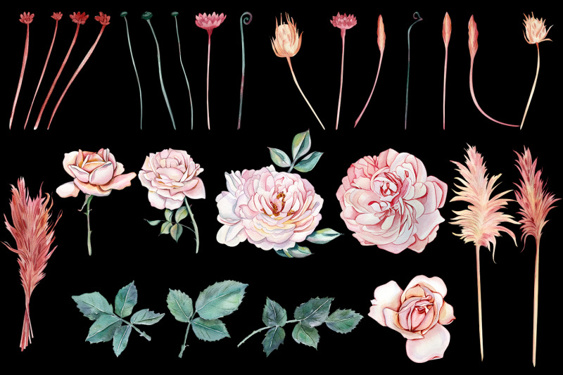 watercolor-clipart-delicate-pink-roses-and-dried-flowers