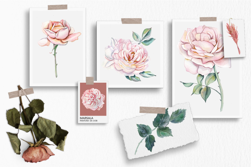 watercolor-clipart-delicate-pink-roses-and-dried-flowers