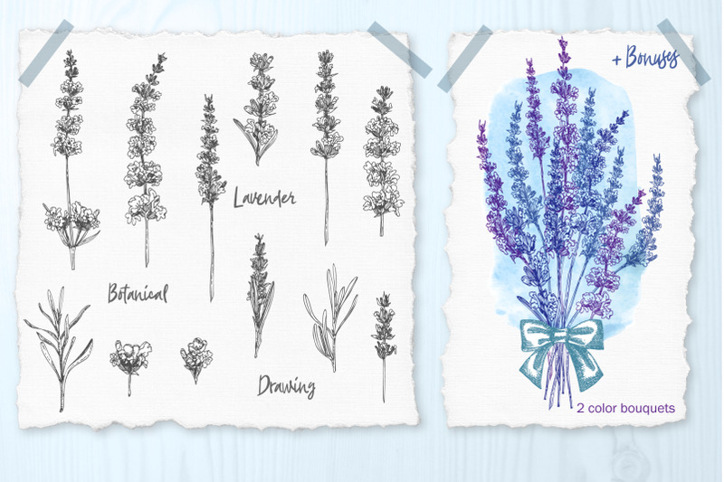 hand-drawn-lavender-flower-bouquets