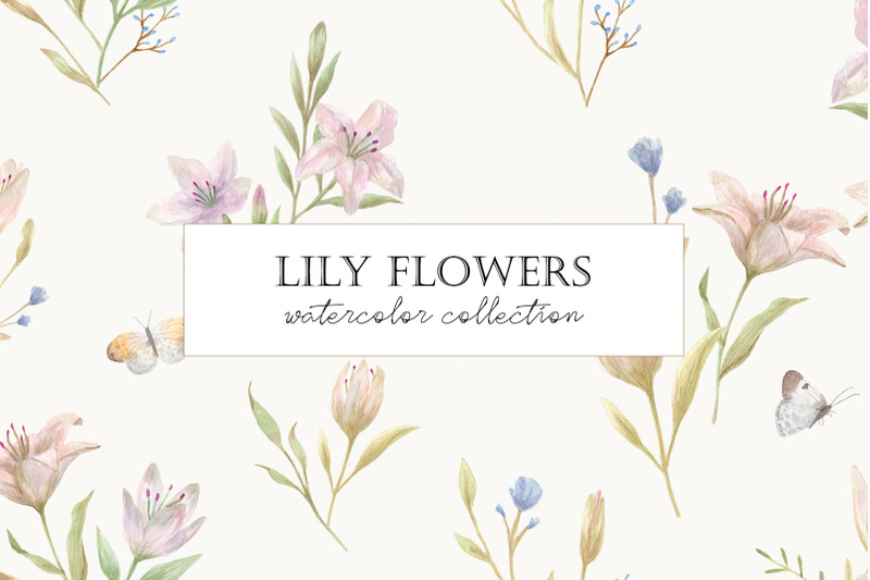 lily-flowers-watercolor-cliparts