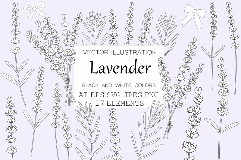 lavender-flowers-lavender-graphics-lavender-coloring-svg