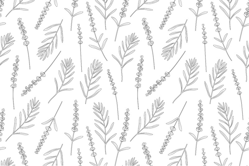 lavender-graphics-pattern-lavender-coloring-pattern