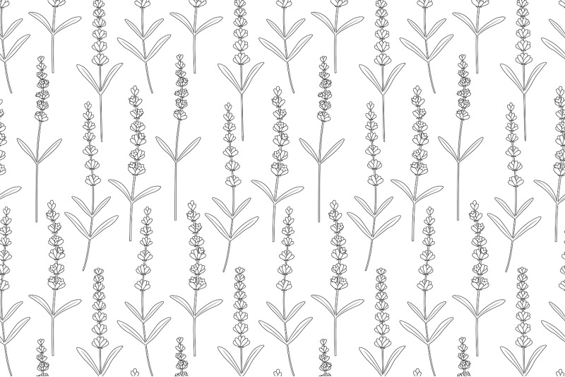 lavender-graphics-pattern-lavender-coloring-pattern