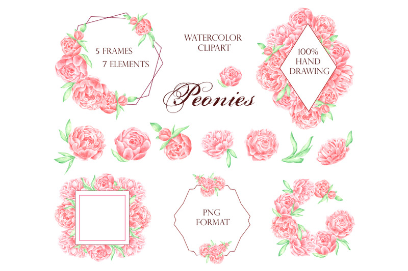peonies-watercolor-clipart-flowers-frames-wreaths-borders-pink