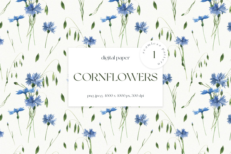 cornflowers-seamless-pattern