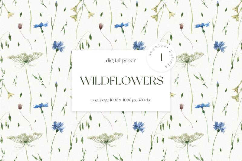 wildflowers-seamless-pattern
