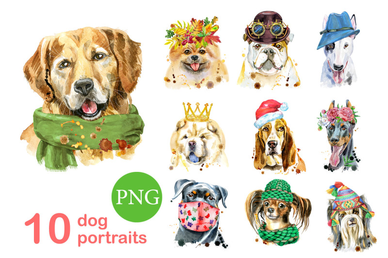 10-watercolor-dog-portraits-9