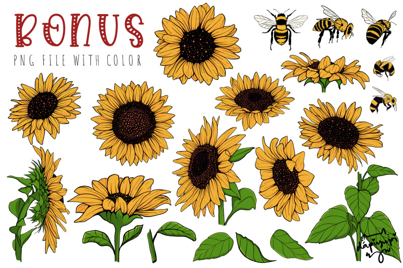 sun-flower-and-honey-bee-clipart-bundle