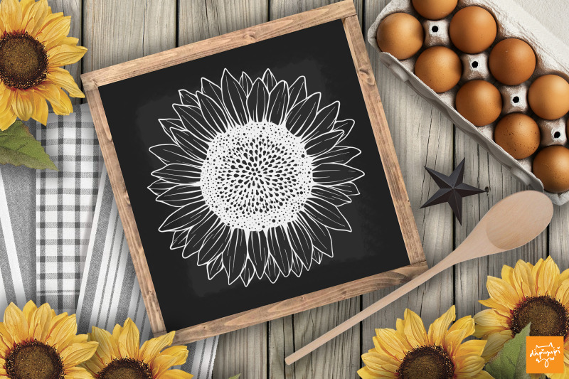 sun-flower-and-honey-bee-clipart-bundle